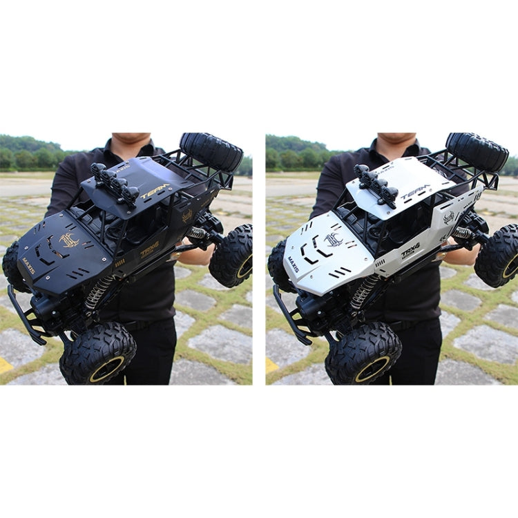 2.4GHz 4WD雙電機越野攀爬車遙控車，型號:9268
