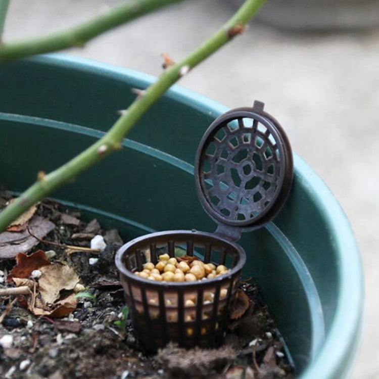 10個賣 盆景工具園藝用品園藝工具盆景肥料盒帶蓋, 大號: 6 x 4cm