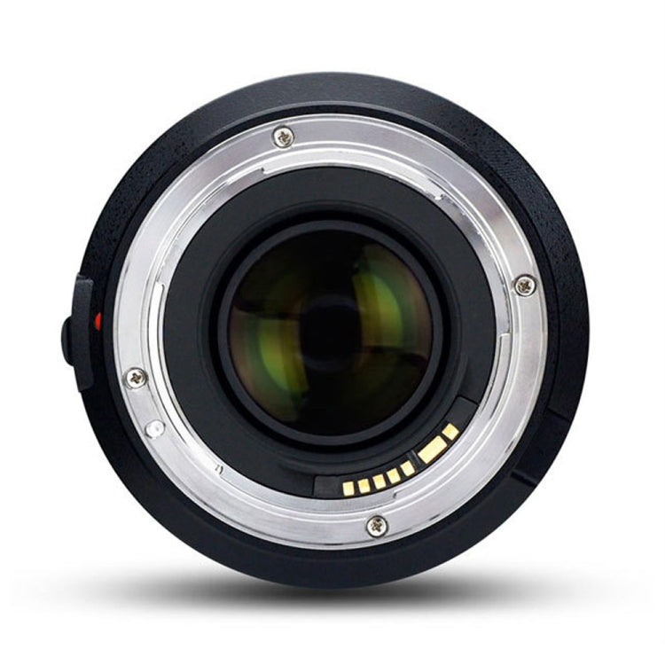 永諾YN50MM F1.4C廣角AF定焦鏡頭 適用於佳能相機