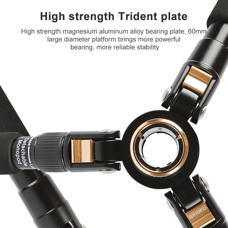 捷寶 554 可調節鋁合金三腳架帶雲台 適用於單反相機