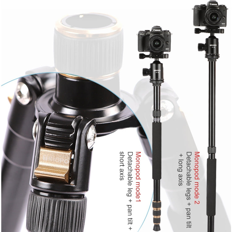 捷寶 554 可調節鋁合金三腳架帶雲台 適用於單反相機