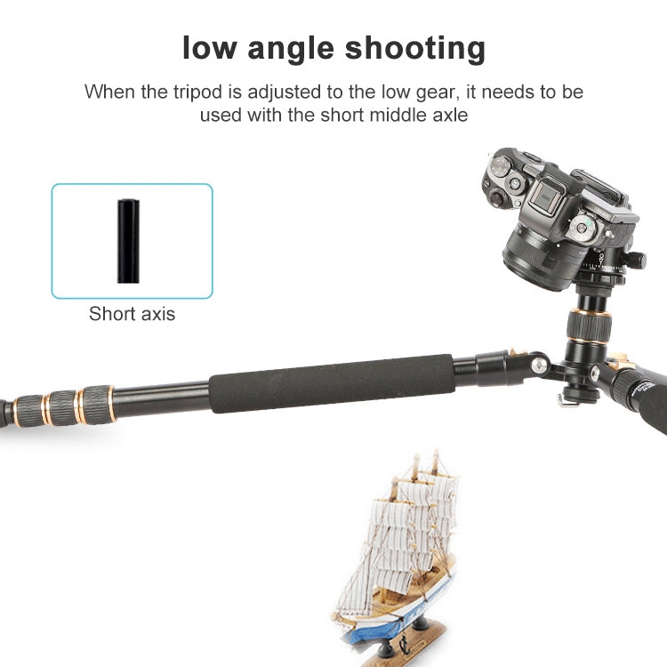 捷寶 554 可調節鋁合金三腳架帶雲台 適用於單反相機