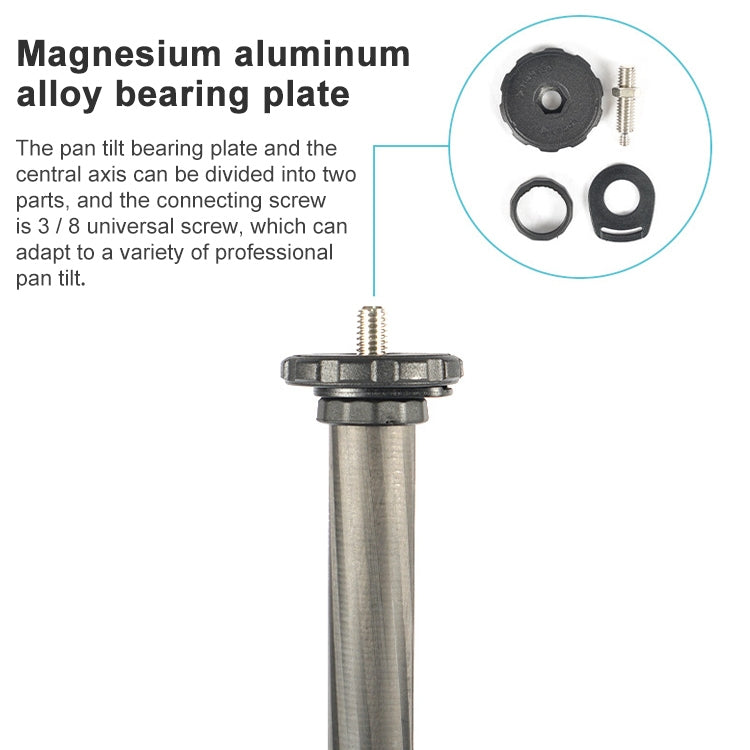 捷寶 853 可調節碳纖維三腳架帶雲台 適用於單反相機