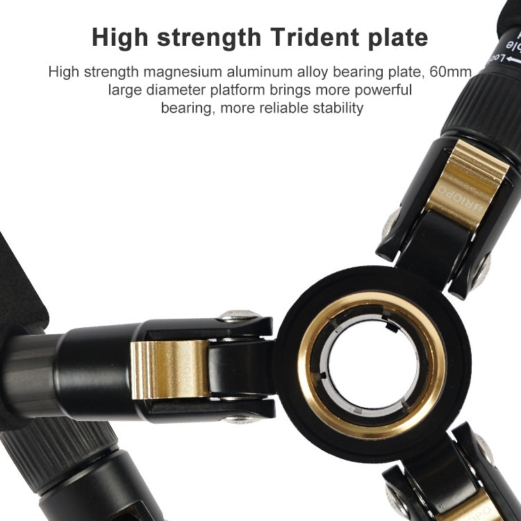 捷寶 853 可調節碳纖維三腳架帶雲台 適用於單反相機