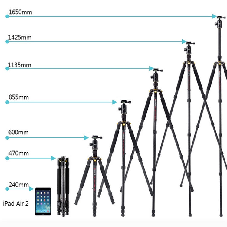 捷寶 853 可調節碳纖維三腳架帶雲台 適用於單反相機