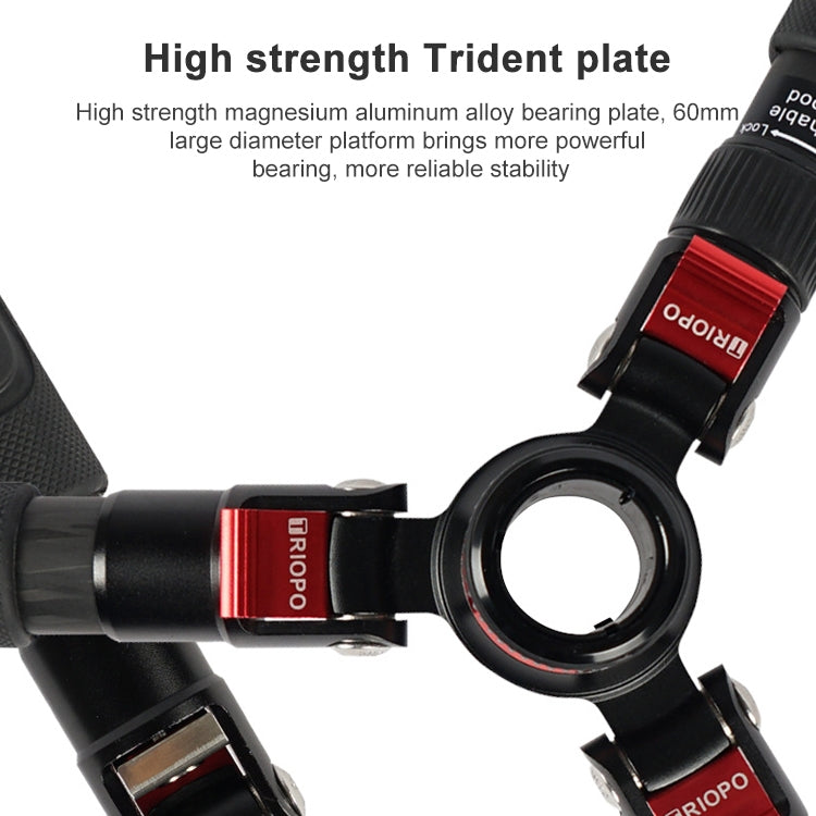 捷寶 888 可調節碳纖維三腳架帶雲台 適用於單反相機, 管徑: 28cm