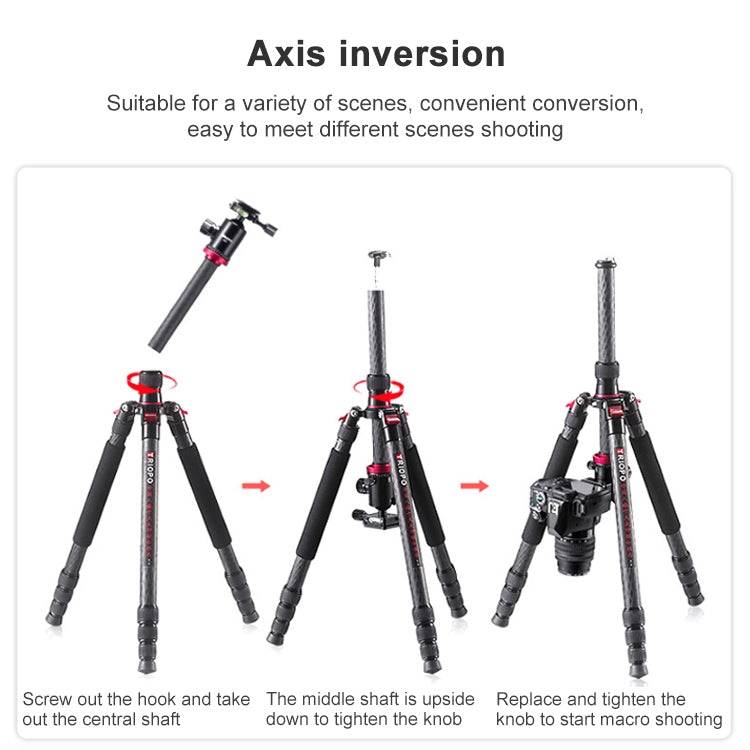 捷寶 888 可調節碳纖維三腳架帶雲台 適用於單反相機, 管徑: 28cm