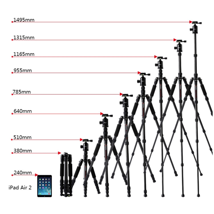 捷寶 T259G+Q2 可調節碳纖維三腳架帶雲台 適用於單反相機