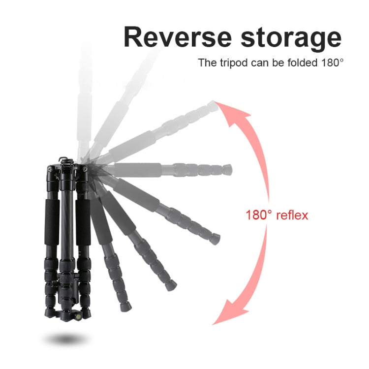 捷寶 T259G+Q2 可調節碳纖維三腳架帶雲台 適用於單反相機
