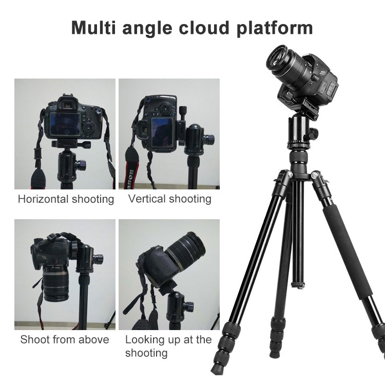 捷寶 歐寶TA300 可調節鋁合金三腳架帶雲台 適用於單反相機
