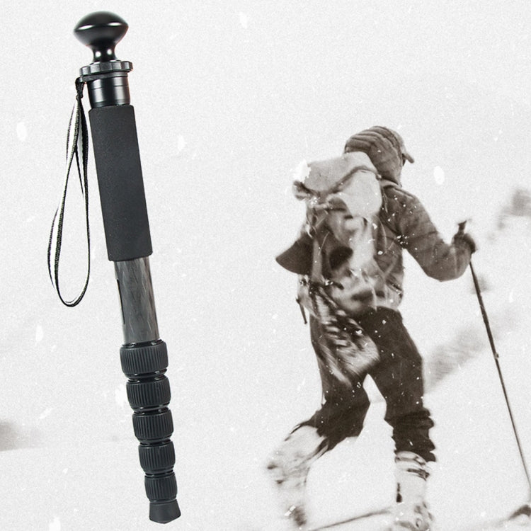 貝欣 P306C 便攜旅遊碳纖維單反相機戶外獨腳架單腳架