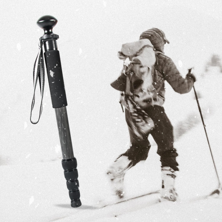 貝欣 P285-C 便攜旅遊碳纖維單反相機戶外獨腳架單腳架