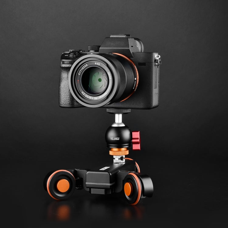 野狼谷L4X-BC 智能小車 II代  負重3公斤 +球頭雲台