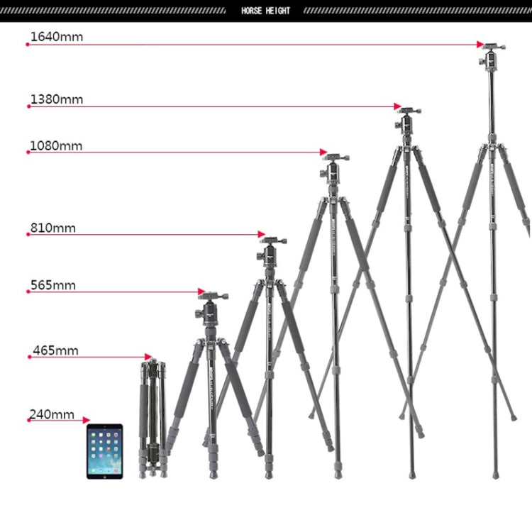 捷寶  T258+D2 鋁合金攝影相機紅外測溫儀專業便攜三腳架