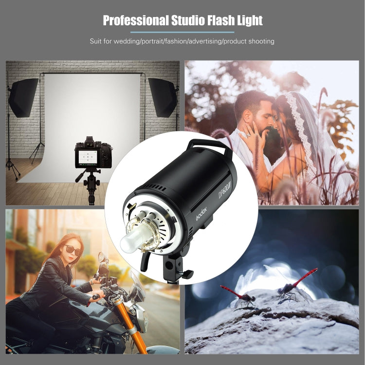 Godox DP600III 閃光燈攝影燈