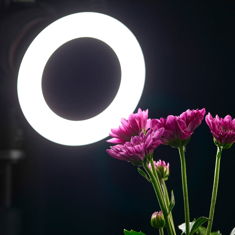 Godox Ring72 微距環閃 72燈珠微距環形LED燈  帶 配8種規格適配環