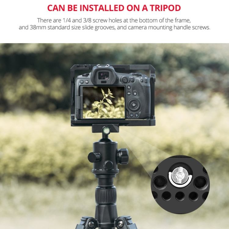 YELANGU C22-A YLG0334B-A   適用於Canon EOS R5/R6/R兔籠 單框