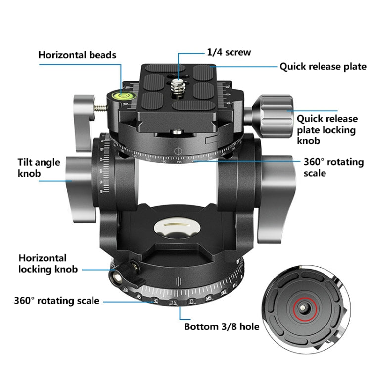 BEXIN 貝欣DT-02S/S 全景液壓二維雲台拍攝可調節底座雲台 帶快拆板