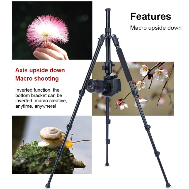 捷寶 歐寶A-308S 可調節鋁合金三腳架帶雲台 適用於單反相機