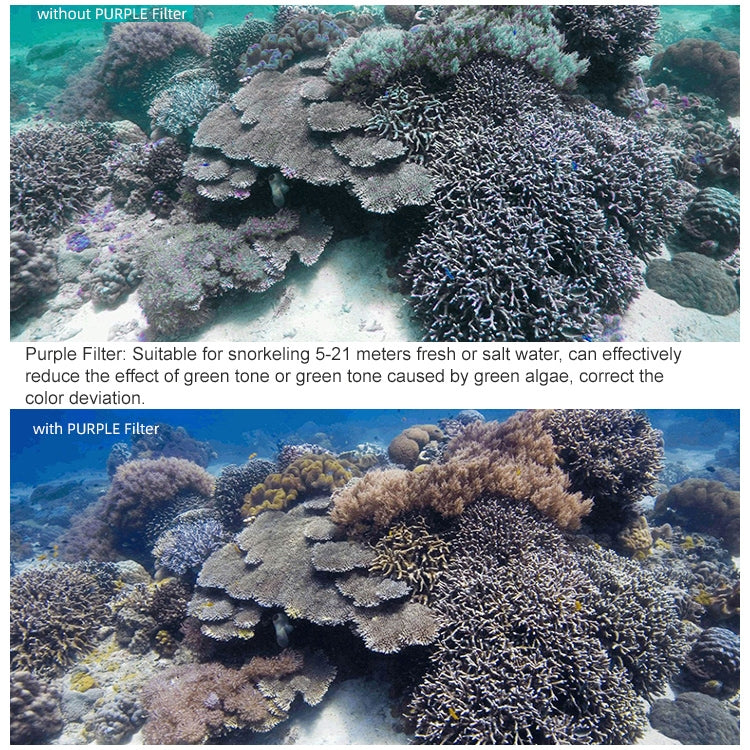 Sunnylife OA-FI179 適用於大疆DJI OSMO ACTION 鏡頭潜水濾鏡 紫色, OA-FI179, Purple