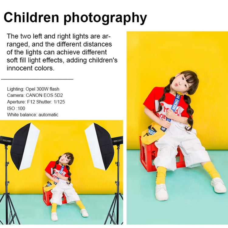 捷寶 歐寶TTR300W 60x90cm柔光箱+2.8米拍攝燈架+3x E27燈泡 攝影套裝