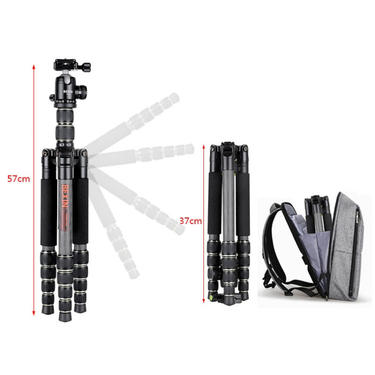 BEXIN BX285C K36 便攜式碳纖維三腳架 適用於單反相機