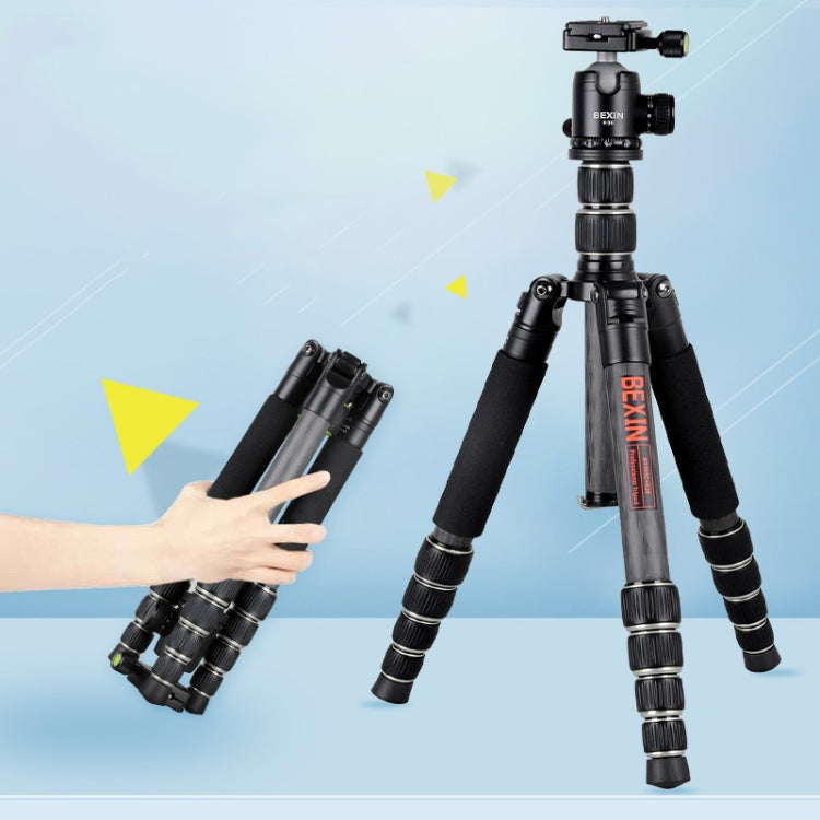BEXIN BX285C K36 便攜式碳纖維三腳架 適用於單反相機