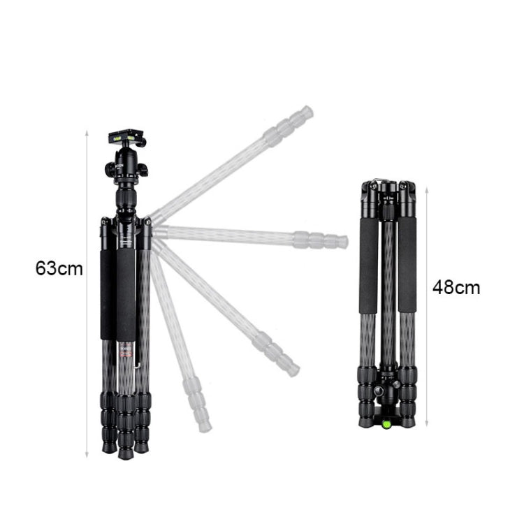 BEXIN W284C H36 碳纖維專業攝影三腳架 適用於單反相機