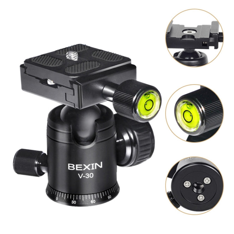 BEXIN W284C H36 碳纖維專業攝影三腳架 適用於單反相機