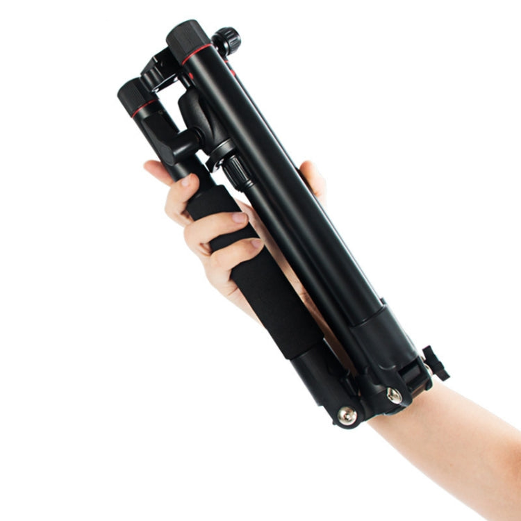 BEXIN MS12 便攜式相機三腳架 適用於單反相機