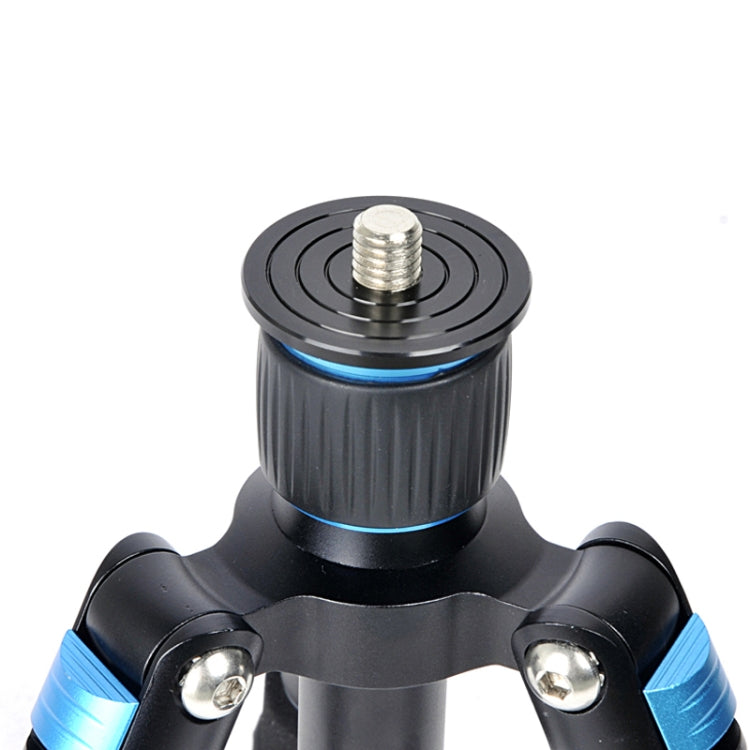 BEXIN MS08 旅行相機迷你三腳架帶球形頭 適用於手機和單反相機