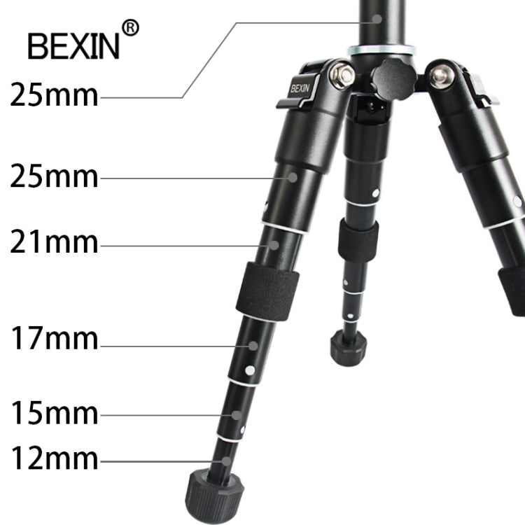 BEXIN Mate 10 桌面迷你球頭攝像機三腳架 適用於單反相機