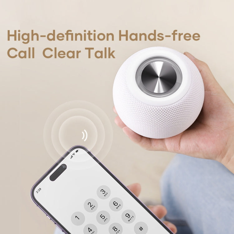 ROCK RAU0758 便攜式藍牙音箱