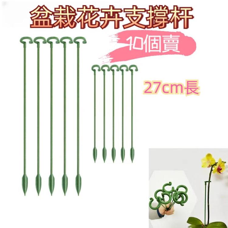 10個一賣植物盆栽花卉造型支撐桿固定防倒伏護恭弘=叶 恭弘架