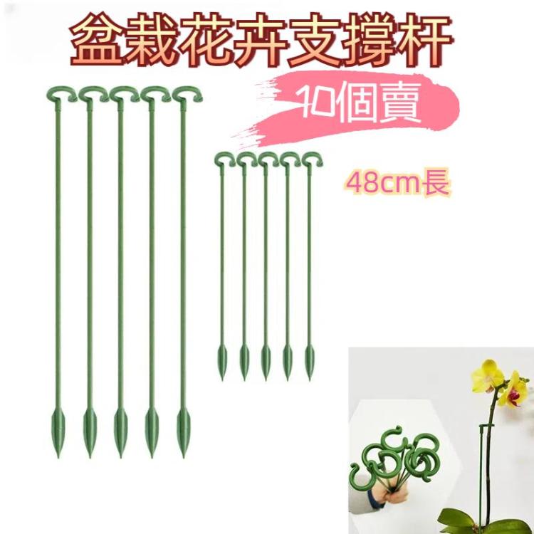 10個一賣植物盆栽花卉造型支撐桿固定防倒伏護恭弘=叶 恭弘架