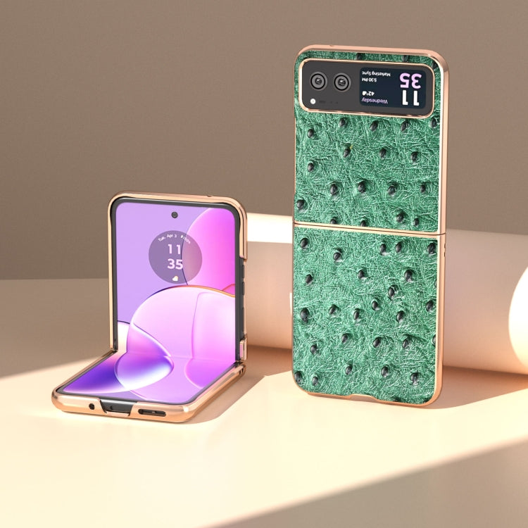 納米電鍍真皮鴕鳥紋手機殼