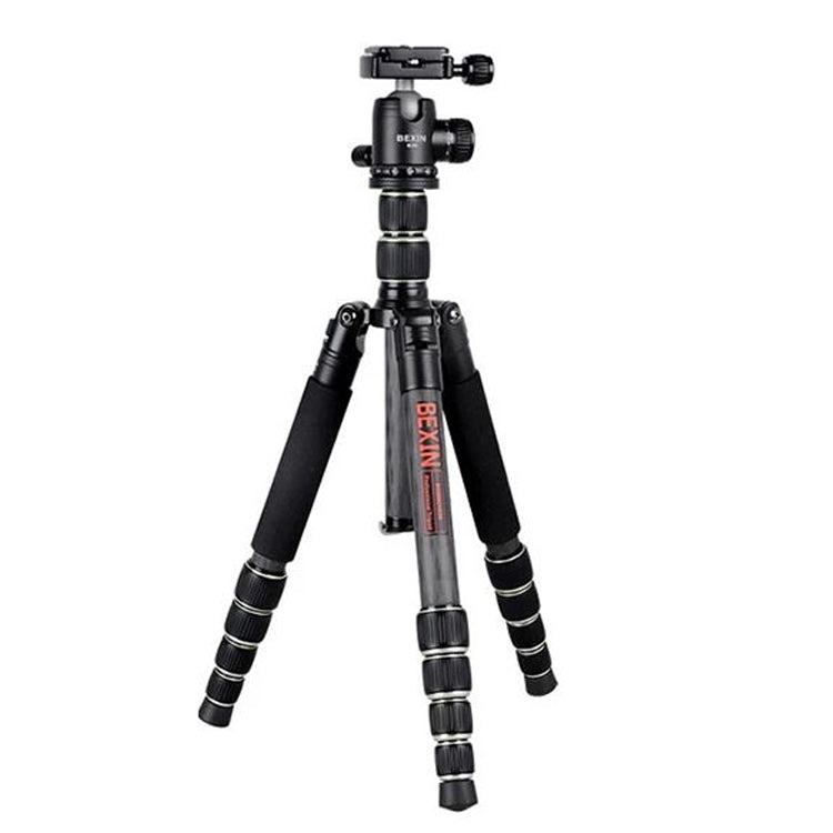BEXIN BX255C K30 便攜式碳纖維三腳架 適用於單反相機