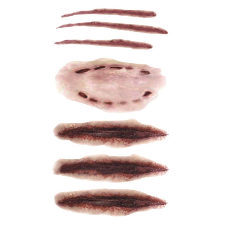 10pcs S-250 Halloween Terror Realistic Scratches Wound Injury Scar Temporary Tattoo Sticker, S-250/10pcs