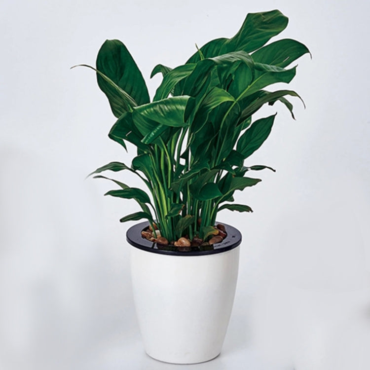 150# 懶人花盆自動吸水樹脂水培雙層圓形塑料花盆，直徑15cm，高度15.5cm