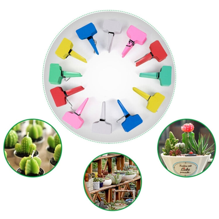 100片裝 花卉標籤 園藝標籤 T型標籤 插地標籤 顏色隨機