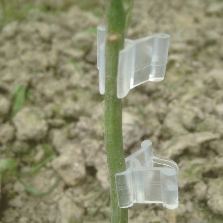 100個賣 植物嫁接夾 透明色園藝塑料嫁接夾 西紅柿嫁接夾