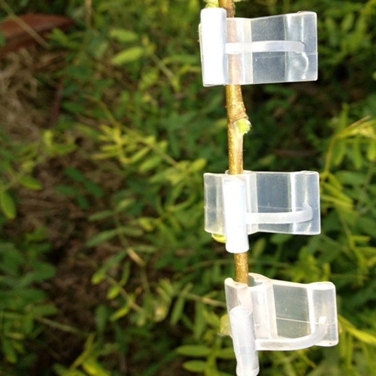 100個賣 植物嫁接夾 透明色園藝塑料嫁接夾 西紅柿嫁接夾