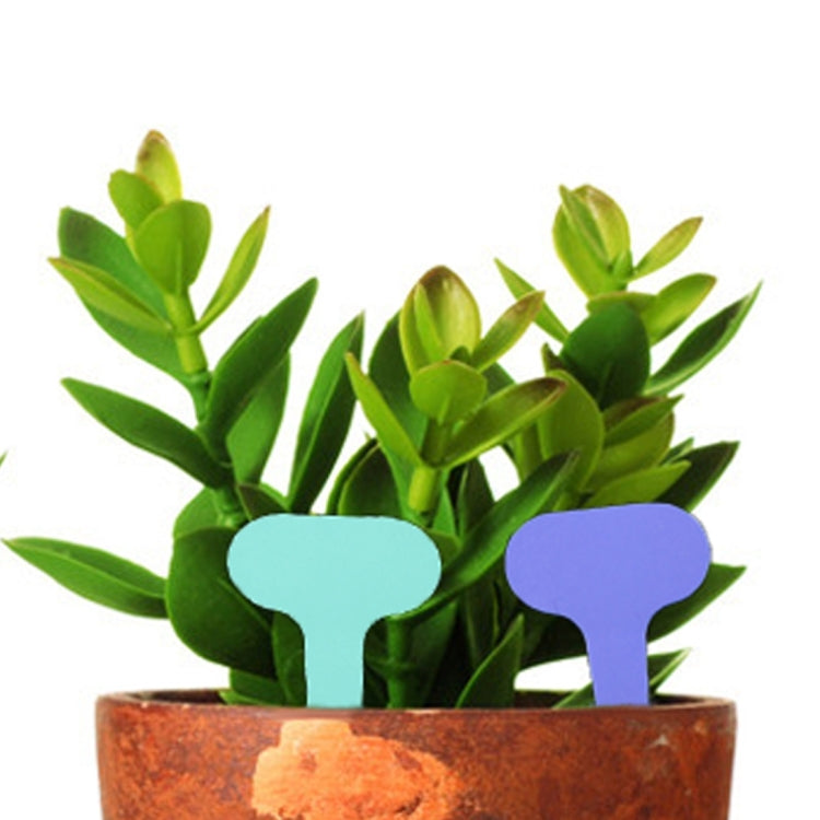 100片裝 花卉標籤園藝標籤防水小插牌插地標籤盆栽標籤，顏色隨機發貨