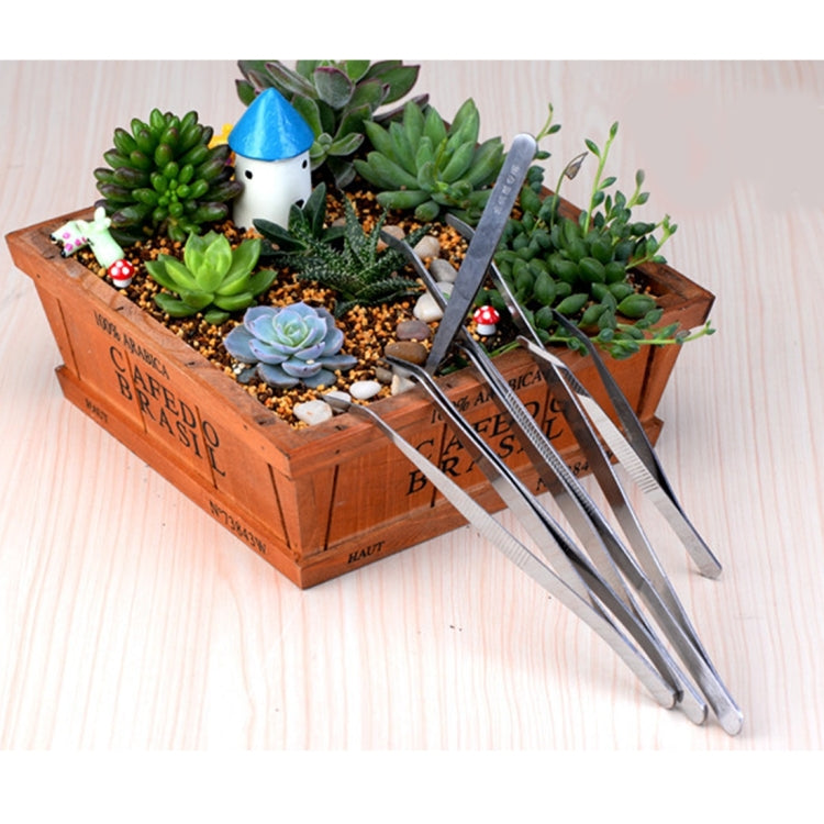 10 PCS 不銹鋼植物清潔彎頭鑷子 植物清潔工具水族箱維護工具海洋水族館活體植物鑷子，長度12厘米