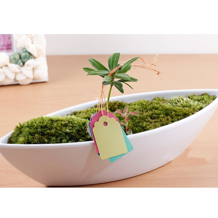 100個賣 防水耐用和可重複使用塑料花園植物標籤 植物吊牌標籤，顏色隨機發貨