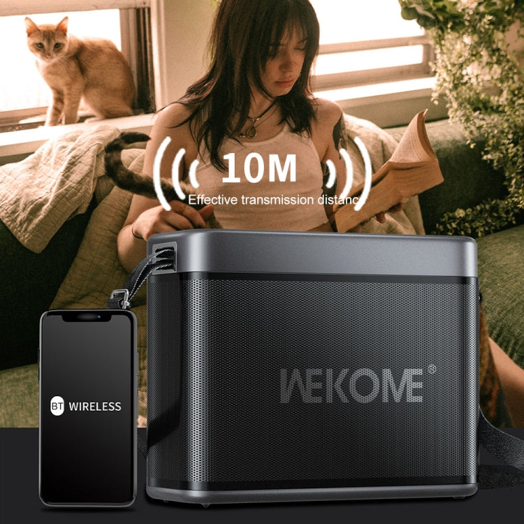 WEKOME D37 200W 金剛王戶外便攜背帶式藍牙音箱