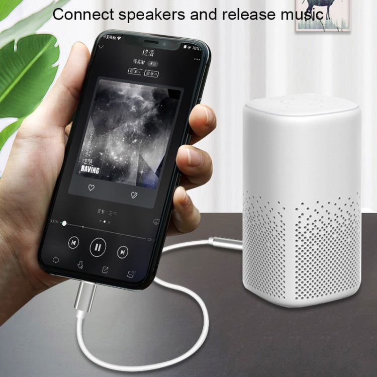 8 Pin轉3.5mm AUX音頻線，長度：1m