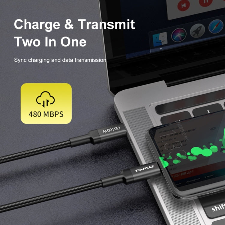 awei CL-117T 1米 5A Type-C 轉 Type-C 快充充電線