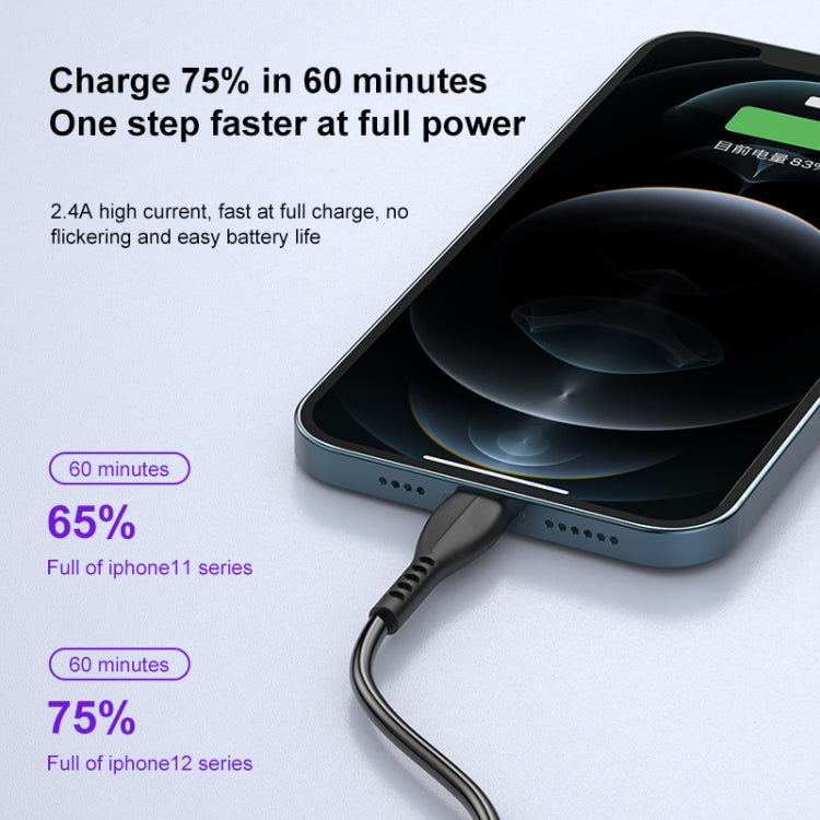 awei CL-115L 1米 2.4A USB 轉 8 Pin 充電線