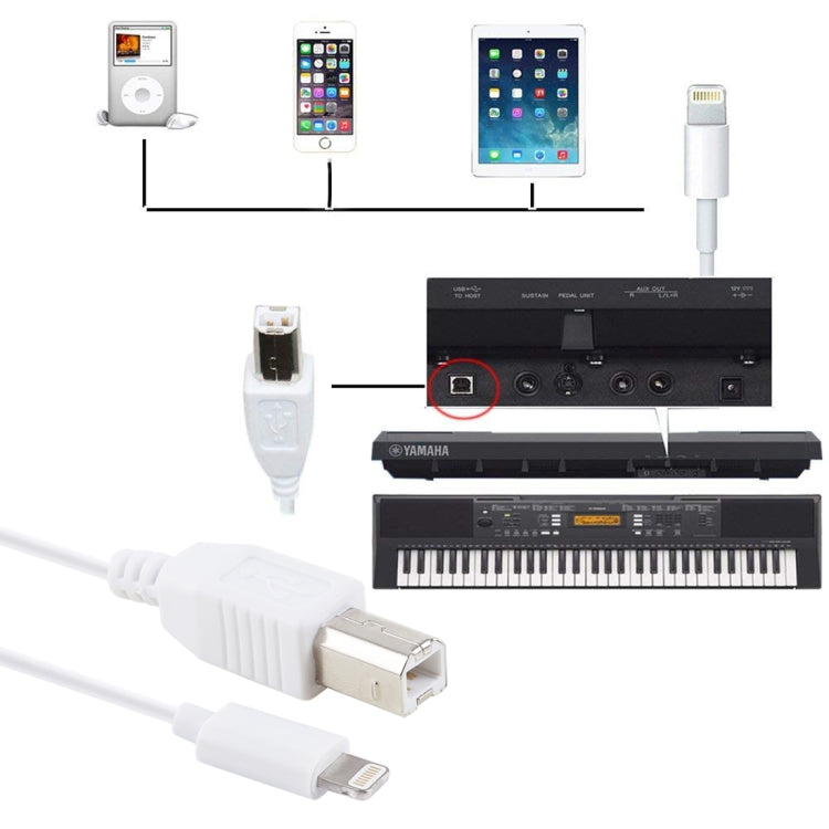 8Pin 轉 Type-B方口鋼琴/电子琴線MIDI線 線長1米 支持iOS 11.4系統